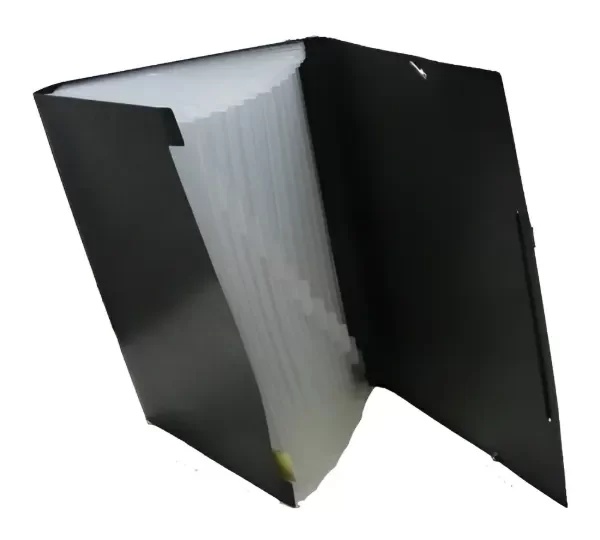 Producto - Carpeta Clasificador A4 12 divisiones - 2