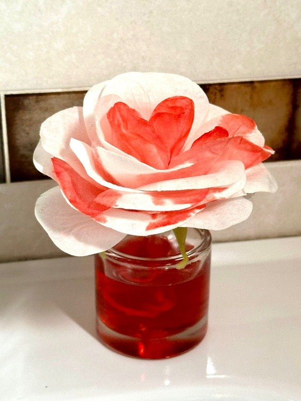 Producto - Difusores de aromas con rosas