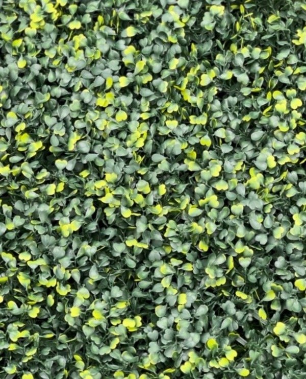 Producto - Jardín Vertical Pantano