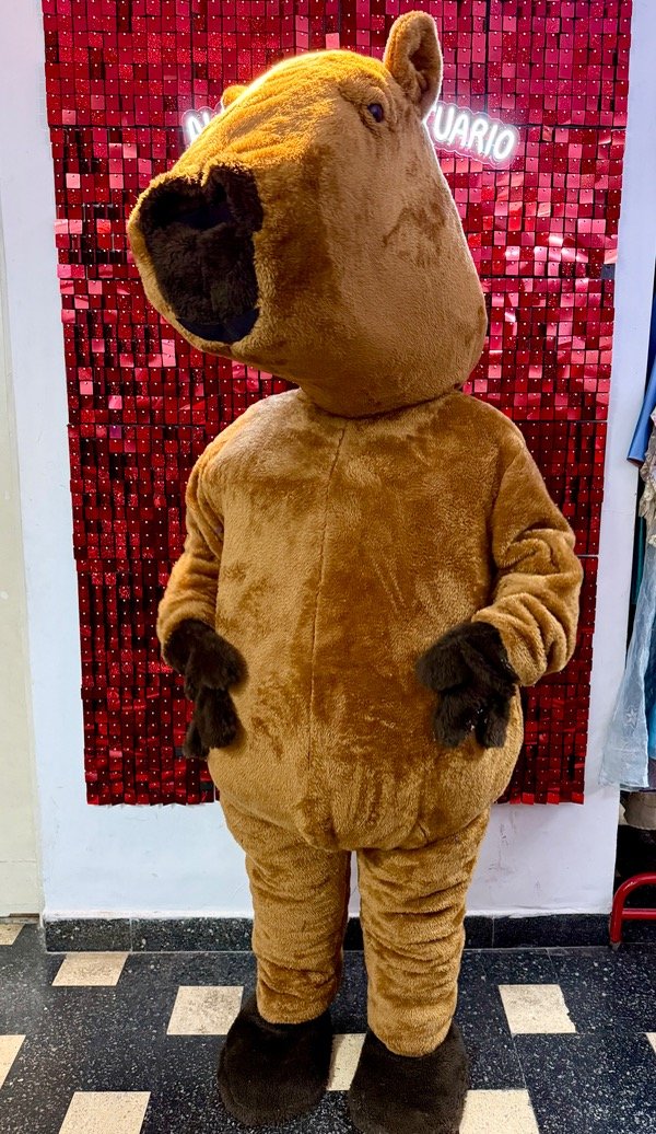 Producto - Capibara cabezón