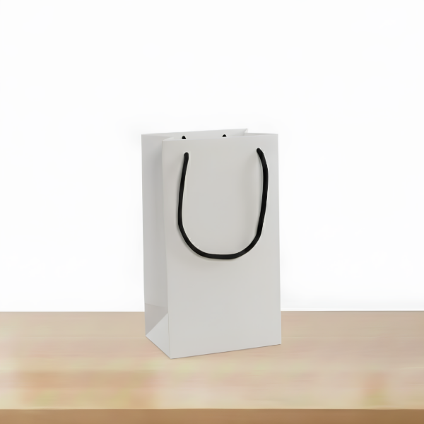 Producto - Bolsa chica 22x12x8