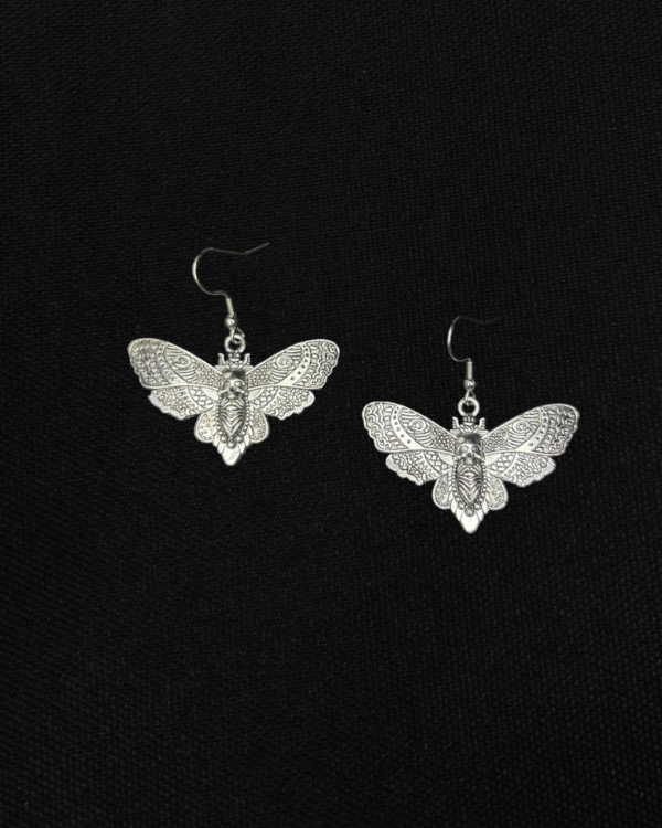 Producto - aros polilla
