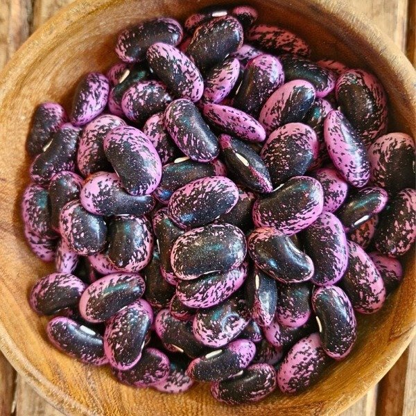 Producto - SEMILLAS DE POROTOS BLACK KNIGHT RUNNER BEAN PLANTA TREPADORA FLORES COLOR ROJO