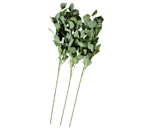 Producto - Ramo Eucaliptus 90cm