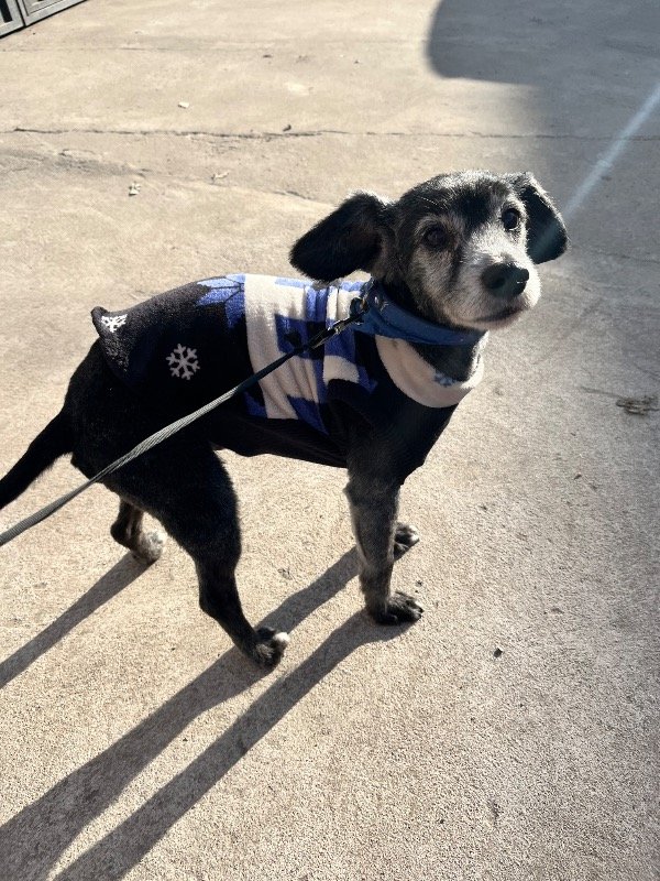 Miniatura de producto - 6