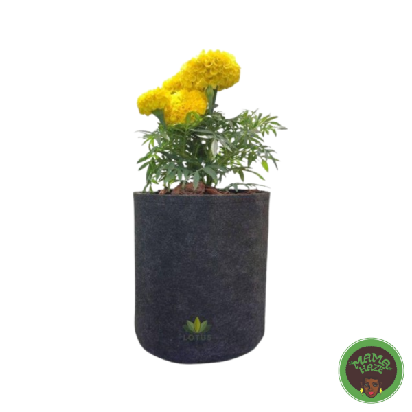 Producto - Maceta GEOTEXTIL - LOTUS 5L