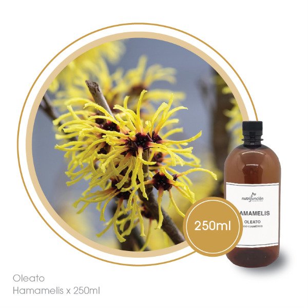 Producto - Oleato de hamamelis x 250 ml