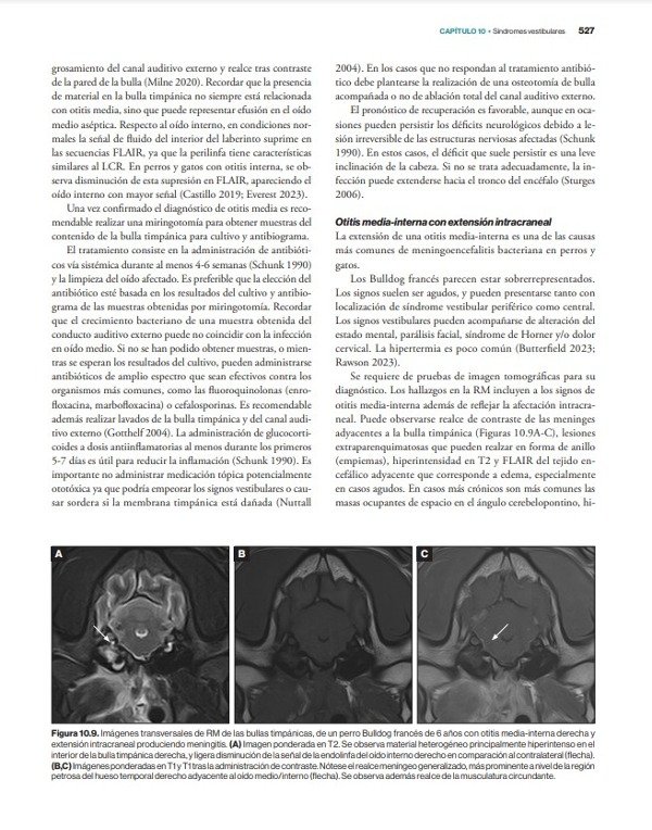 Producto - Morales: Neurología Canina y Felina, 2da - 10