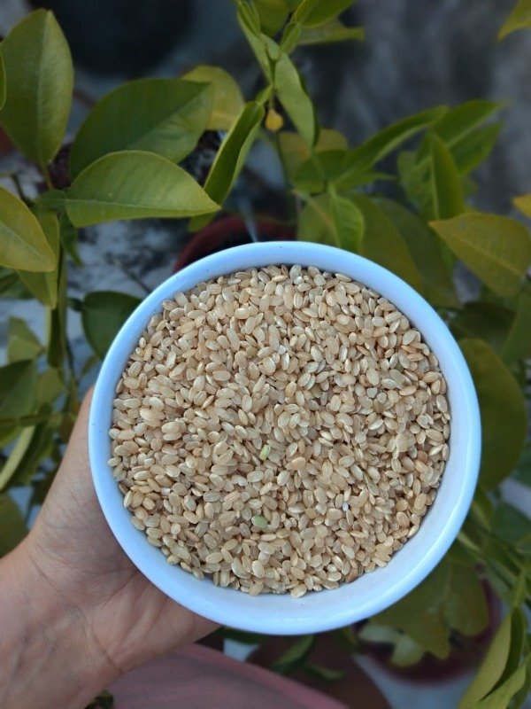 Producto - Arroz Yamani Integral