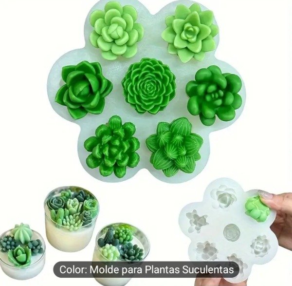 Producto - Molde 7 mini suculentas