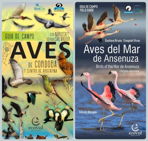 Producto - Aves de Córdoba y Centro de Argentina + Aves del Mar de Ansenuza