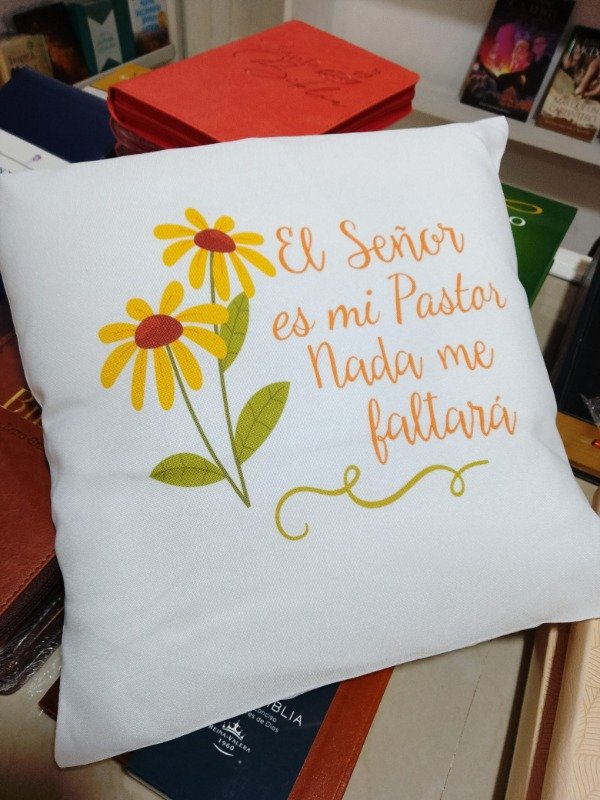 Producto - ALMOHADONES rellenos VARIOS Modelos - 6