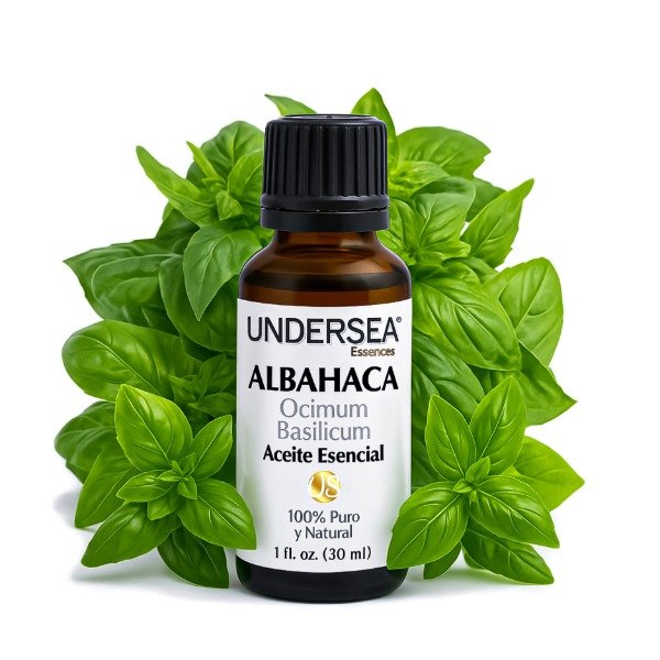 Producto - ACEITE ESENCIAL DE ALBAHACA (OCIMUM BASILICUM)