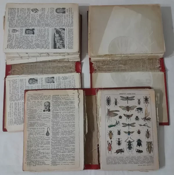 Miniatura de producto - 9