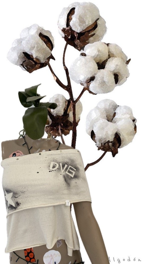 Producto - Strapless Norte