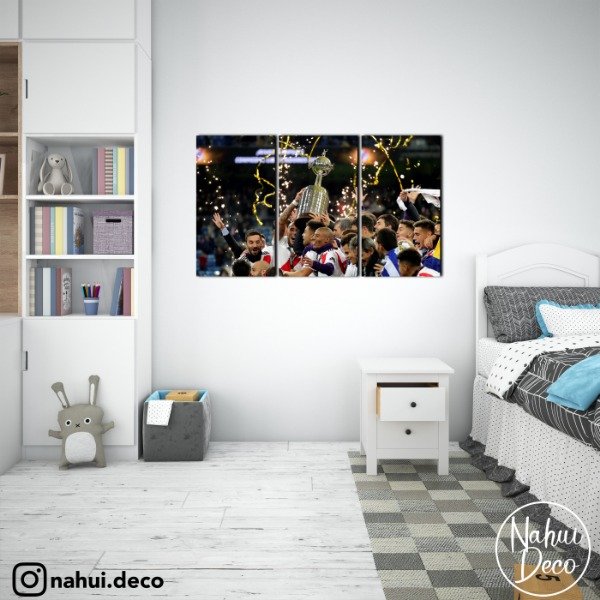 Producto - River Plate MOD 1
