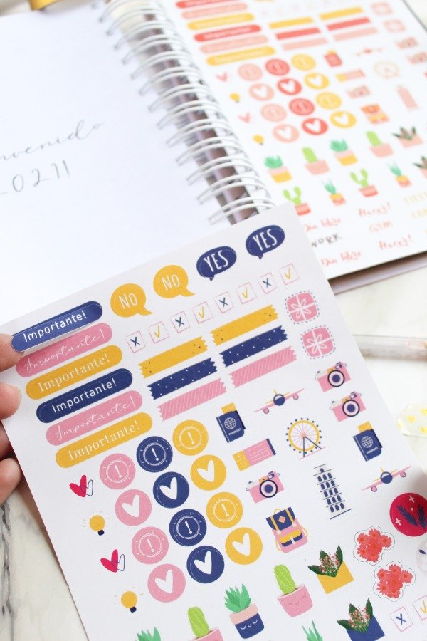 Producto - Plancha de stickers X2