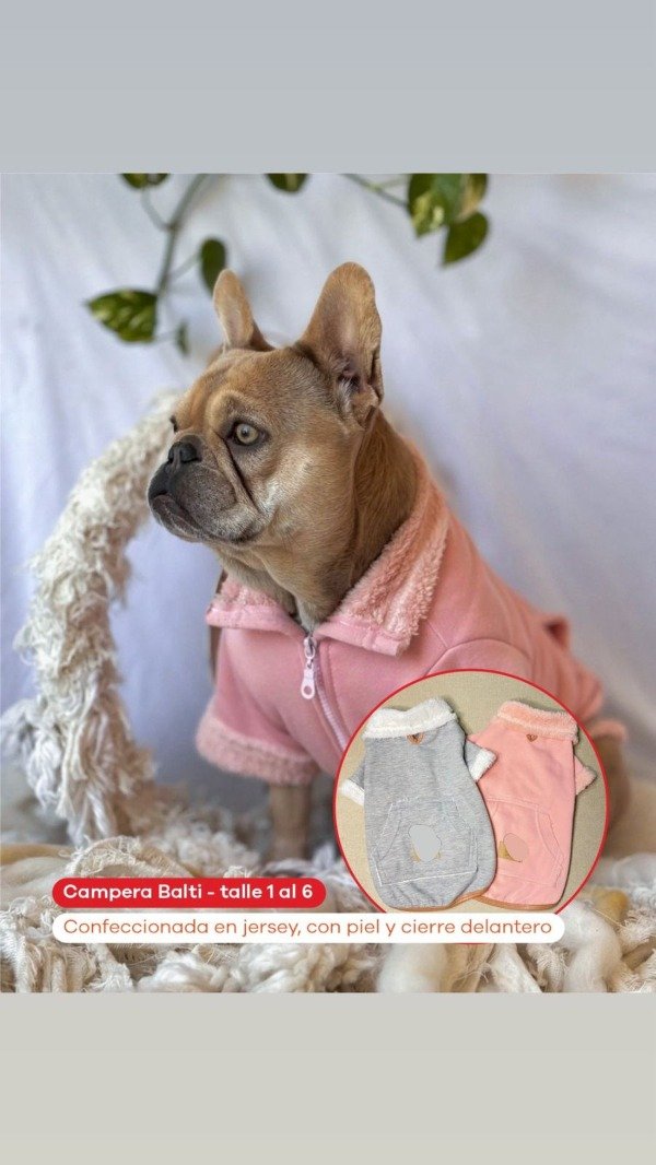 Producto - Campera Balti