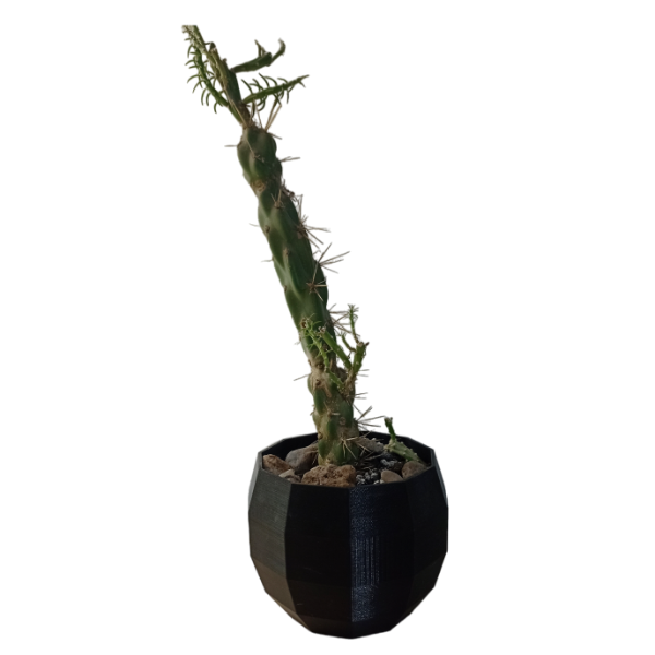 Producto - Maceta Moderna Minimalista Polígonos Decoración Inter/exter