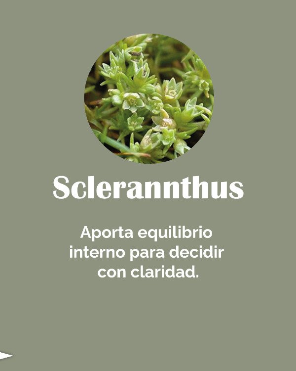 Miniatura de producto - 9