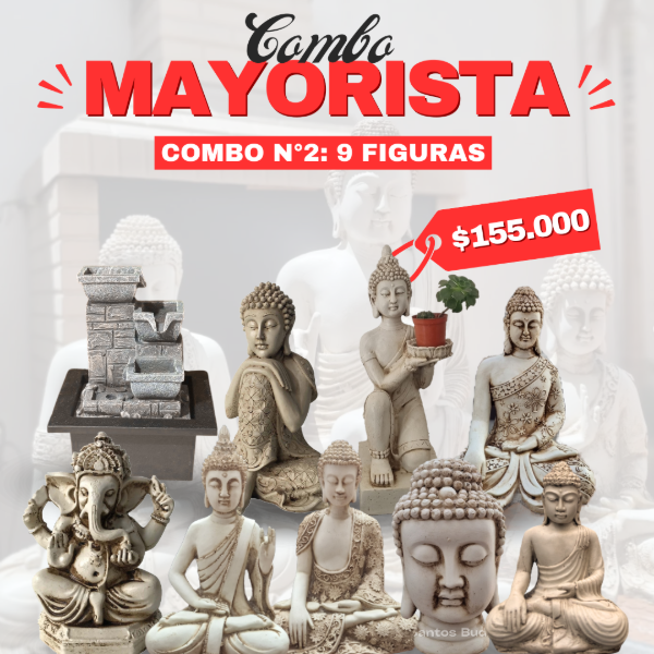 Producto - Combo Mayorista 2