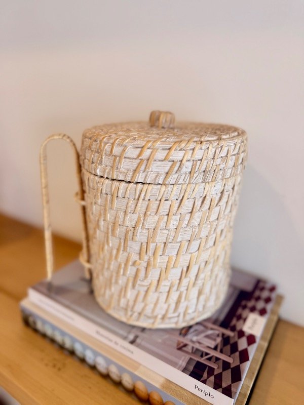 Producto - Hieleras Rattan