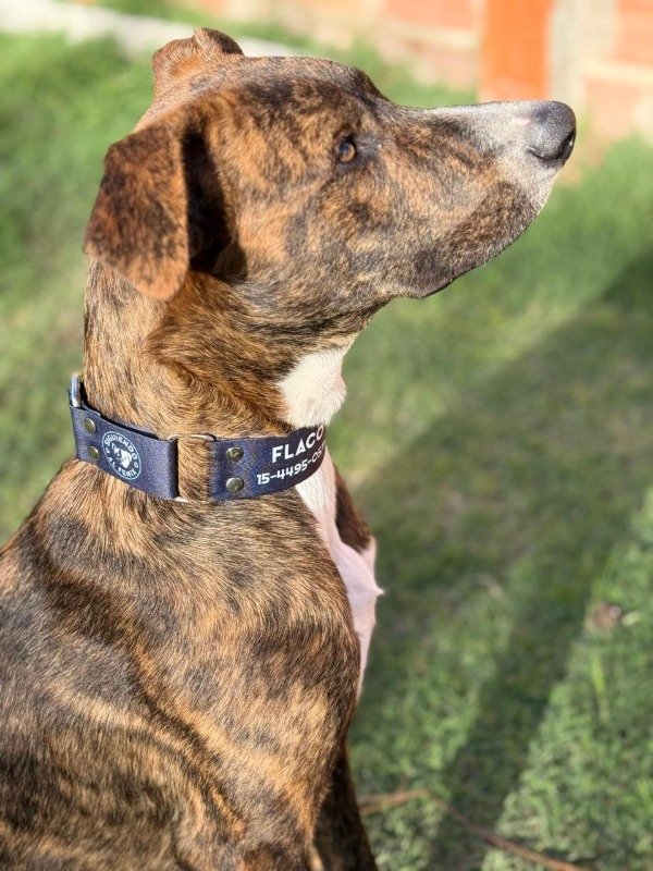 Miniatura de producto - 10