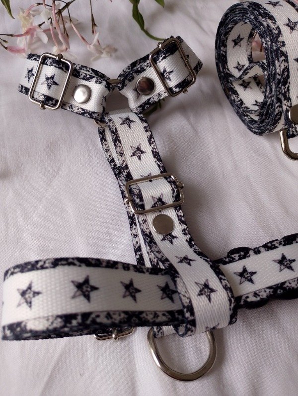 Producto - Conjunto de paseo ASTRA - 1