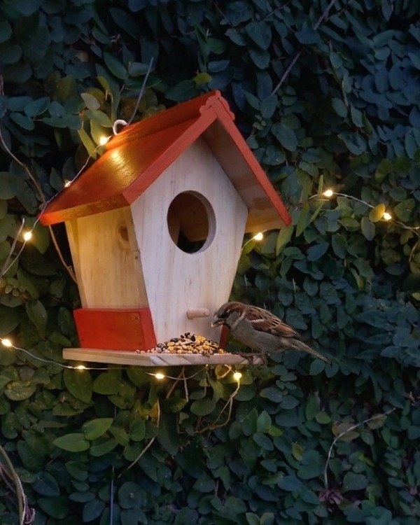 Producto - Comedero de semillas o frutas para pared