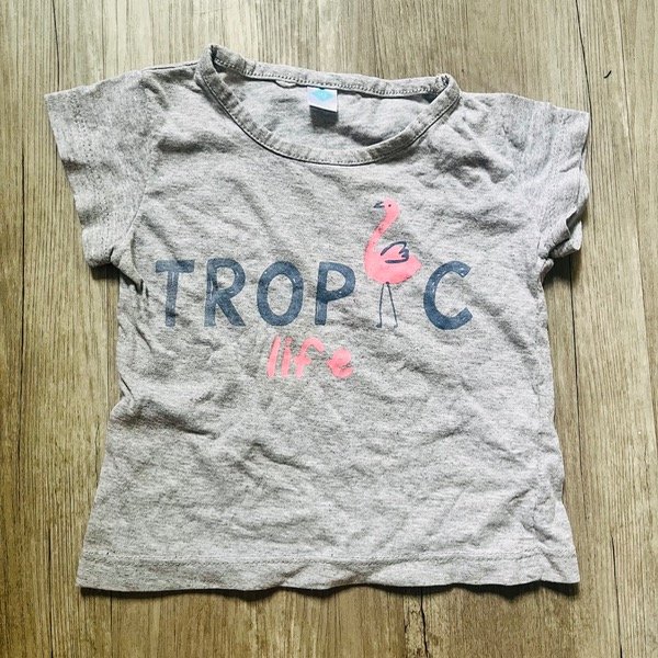 Producto - Remera Flamenco 12M