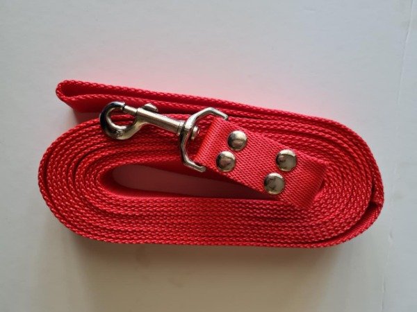 Producto - Correas de Paseo para perros grandes