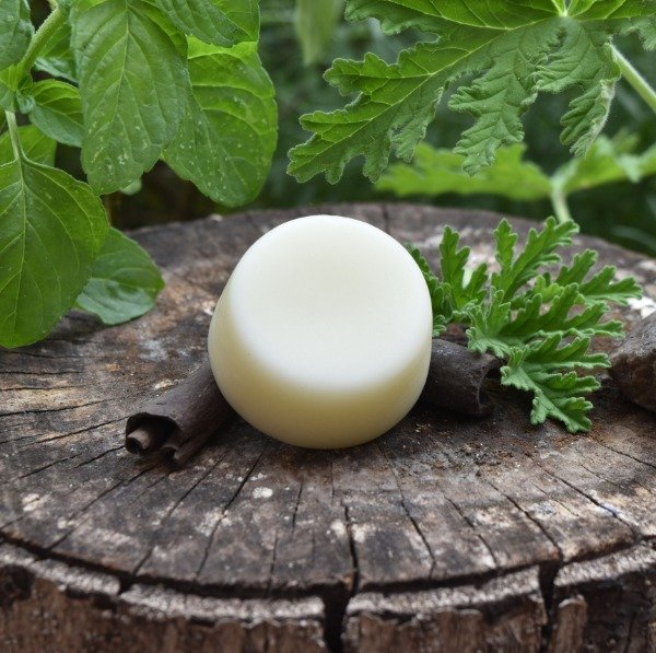 Producto - Acondicionador Capilar Sólido Jojoba y Naranja 50 grs