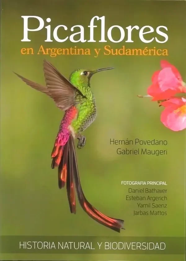 Producto - Picaflores en Argentina y Sudamérica