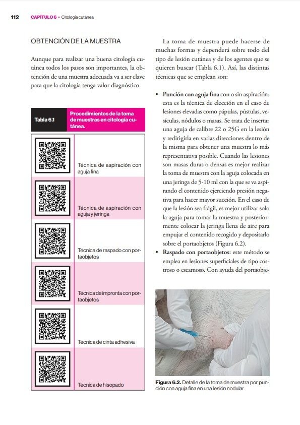 Producto - Verde: Diagnósticos Dermatológicos Canino y Felino - 3
