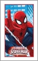 Producto - BOLSA HOMBRE ARAÑA X10