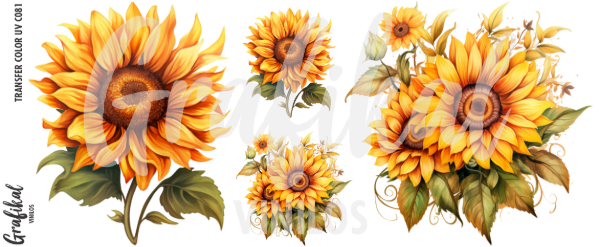 Producto - TransferColorUV C081