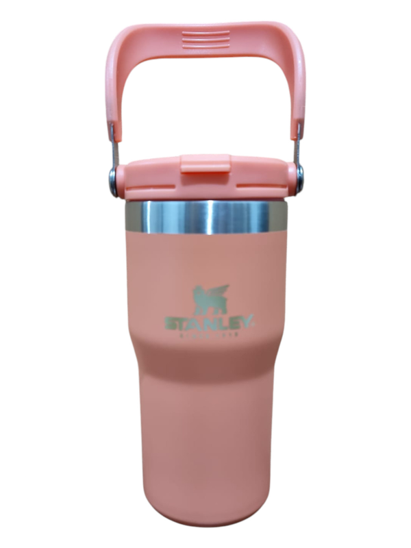 Producto - BOTELLA-VASO FLIP HEIZEN 600CC REPLICA ST MANIJA ANATOMICA