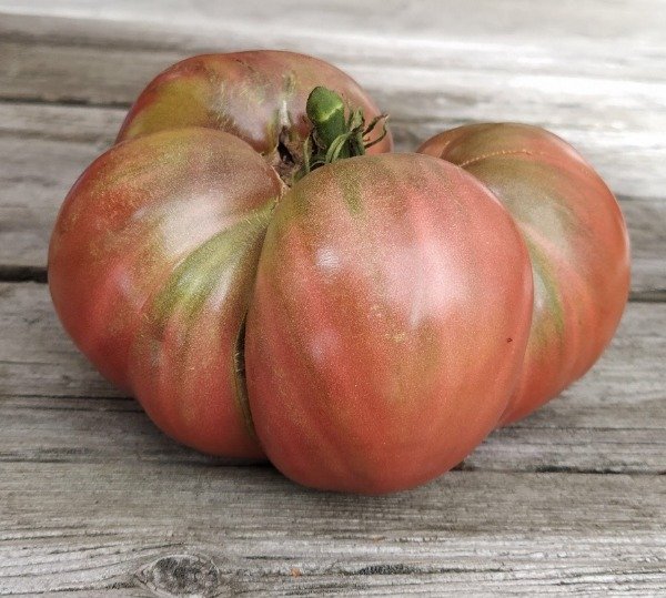 Producto - 150 SEMILLAS DE TOMATE GROSSE VERTE ET ROSE