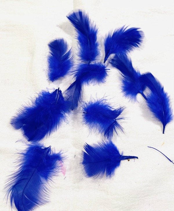 Producto - Plumas de gallo azules