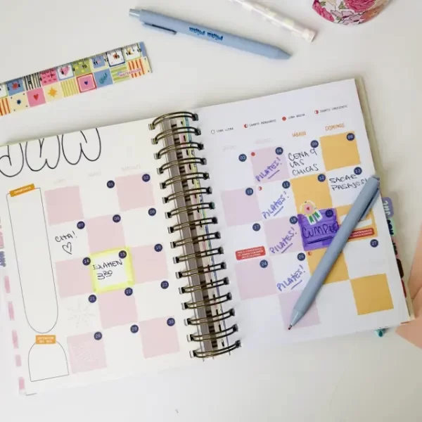 Producto - AGENDA PROYECTO IMPORTANTE - Diaria - 10
