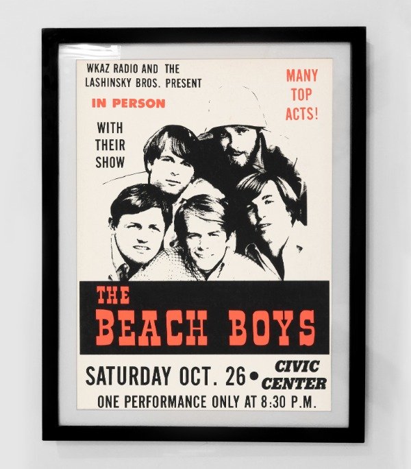 Producto - BEACH BOYS (Nro 6)