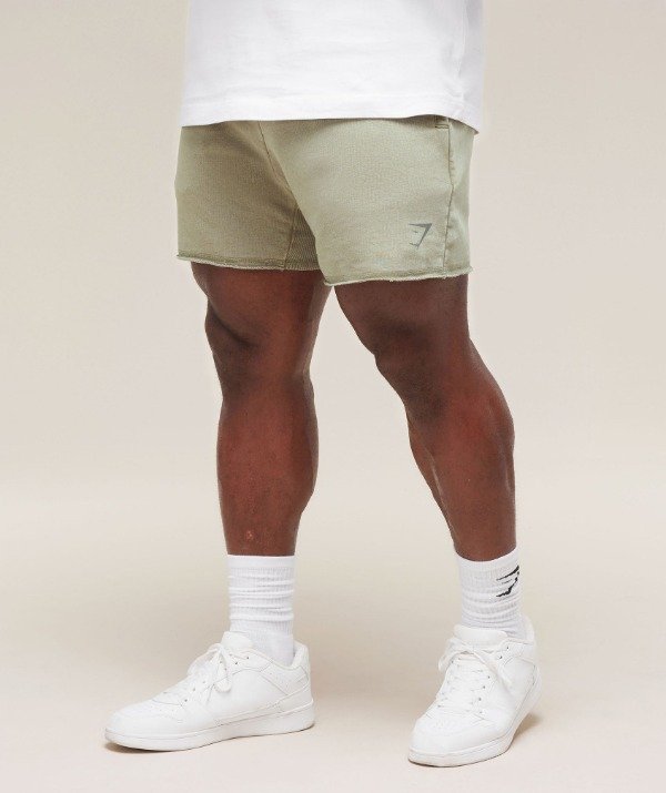 Producto - Heritage 5" Shorts Stone Grey