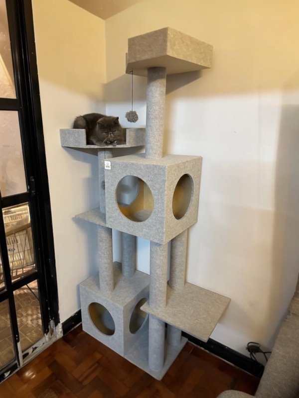 Producto - Rascador Otto PROMO STOCK