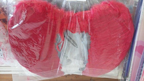 Producto - Alas con Plumas Rojas