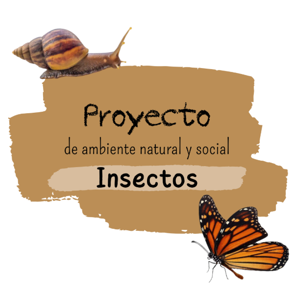 Producto - Proyecto: Exposición de insectos