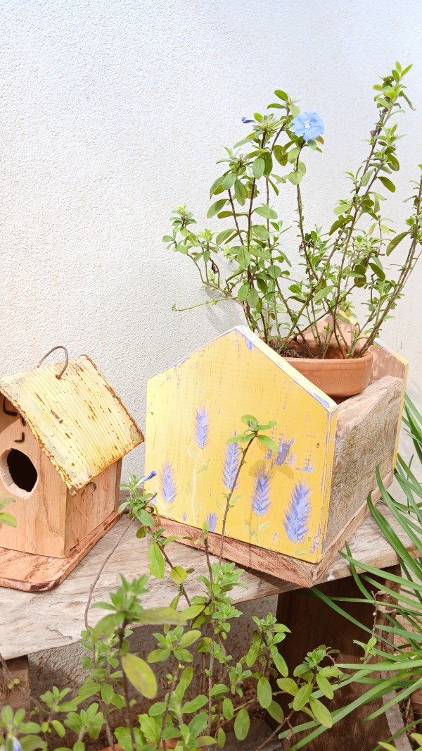 Producto - Cajoncito portamaceta lavandas