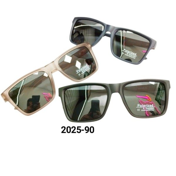 Producto - 2025-90 LENTE DE SOL POLARIZADO X1U. /24