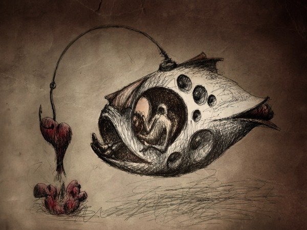 Producto - Cosecha profunda