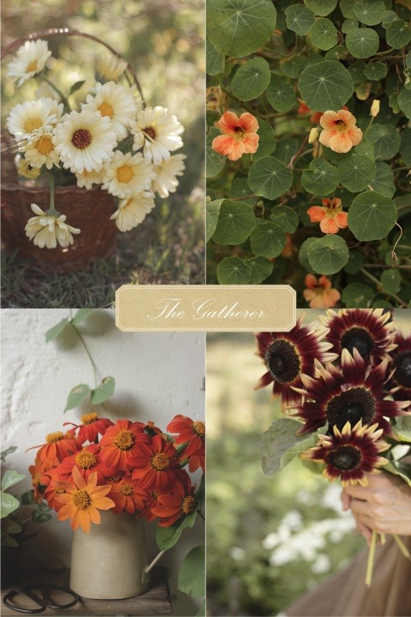 Producto - Combo de Semillas "The Gatherer" - 0