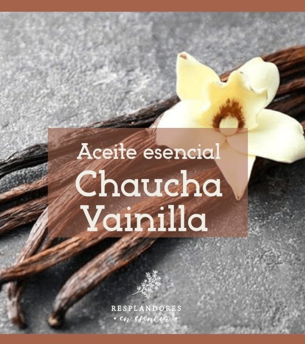 Producto - Aceite esencial chaucha vainilla